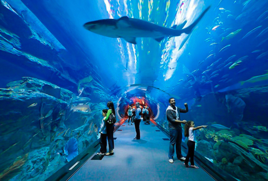 Dubai Mall Aquarium With Underwater Zoo